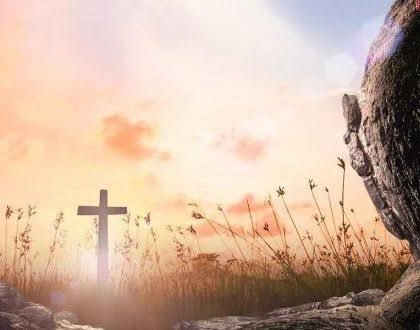 Transformasi Dan Kebangkitan Hidup